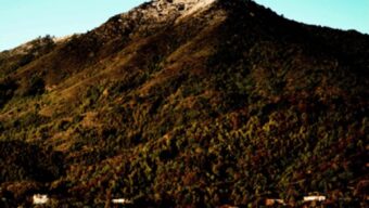 An image of a mountain peak, Mount Tamalpais, behind a town.