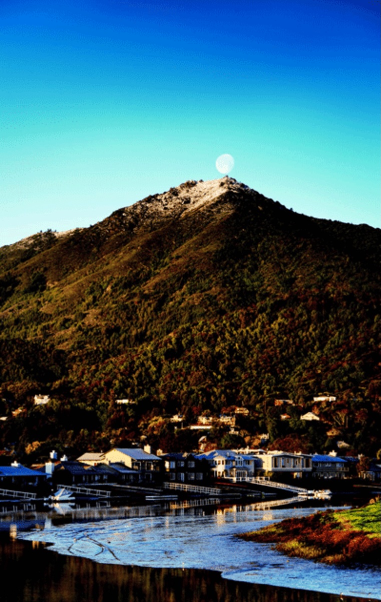 An image of a mountain peak, Mount Tamalpais, behind a town.