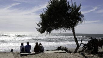 Dipsea