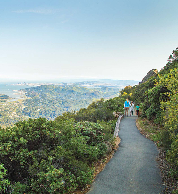 Verna Dunshee Trail, Mt. Tamalpais, Hiking in Marin, Marin Magazine, Central Marin