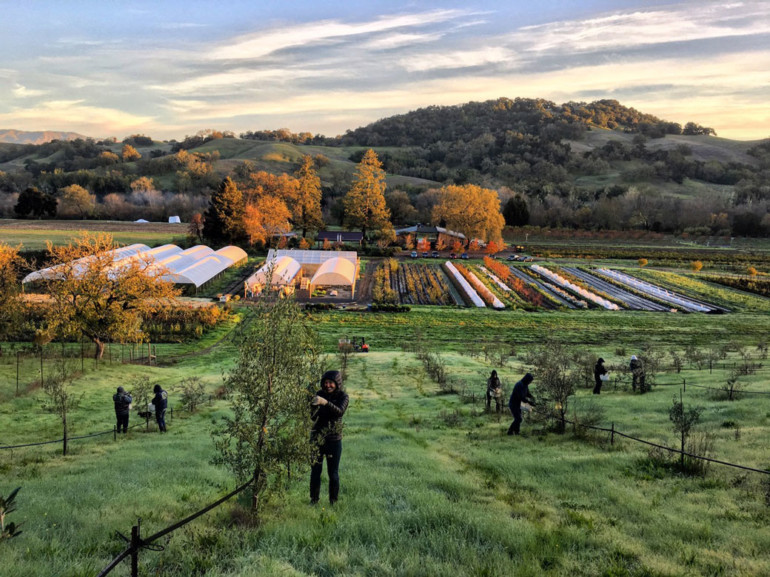 Meet the Farmer: Peter Buckley and Crew at Front Porch Farm, Marin Magazine