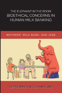  The Elephant in the Room: Bioethical Concerns in Human Milk Banking 