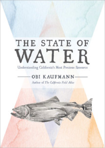 Novel The State of Water