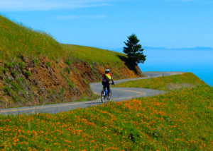 biking marin county