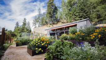 1440 Joanie's Garden