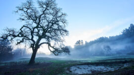 San Geronimo Creek
