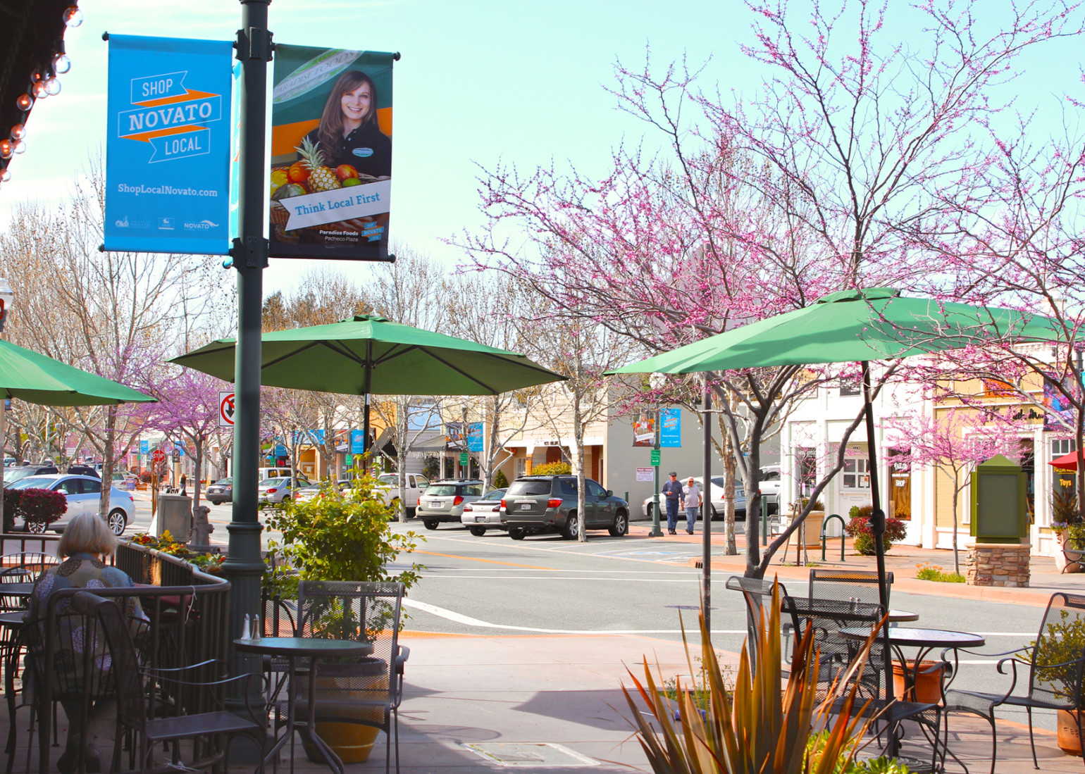 Shops and businesses on the corner in downtown Novato