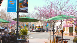 Shops and businesses on the corner in downtown Novato