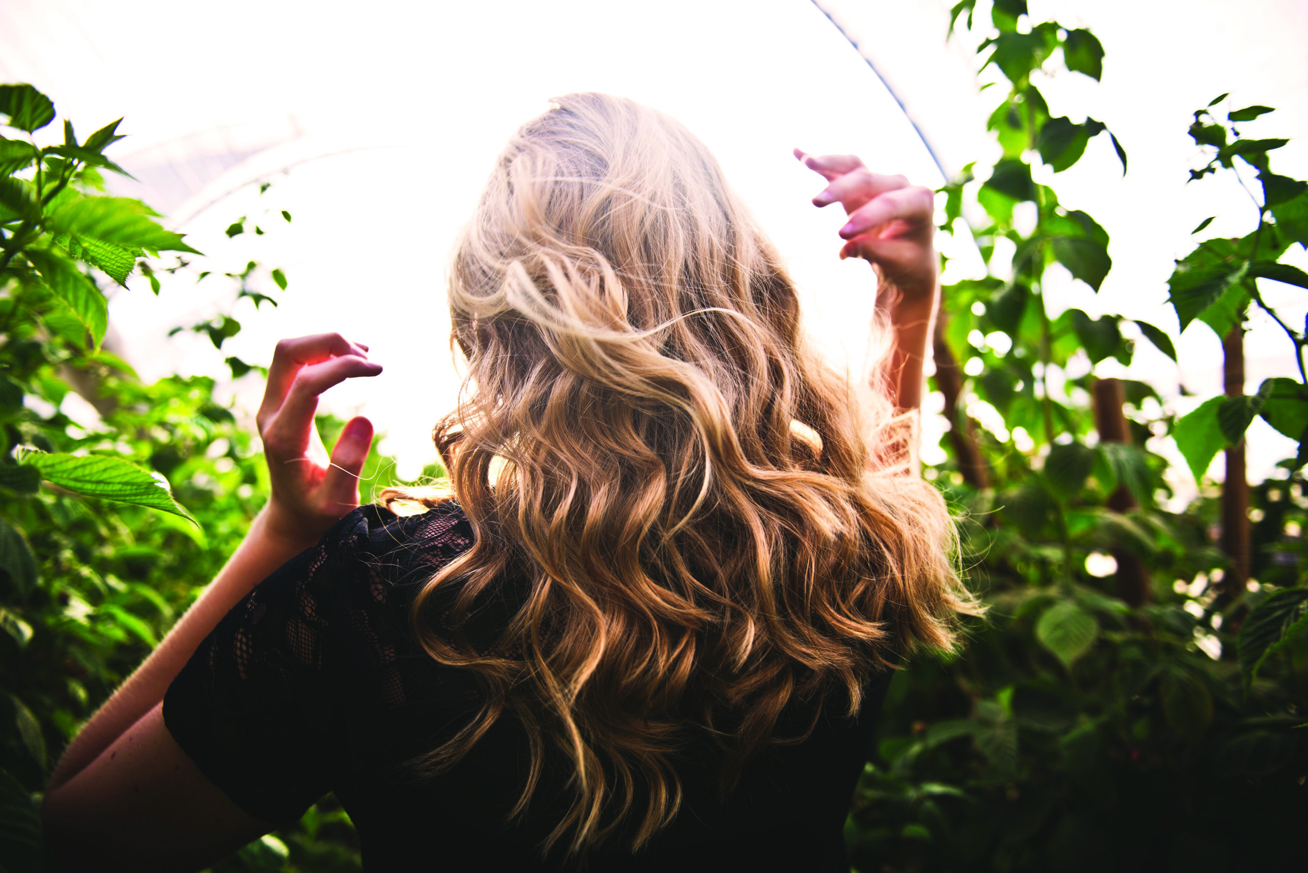 The Top Local Wellness Foods and Treatments in Marin - Marin Magazine