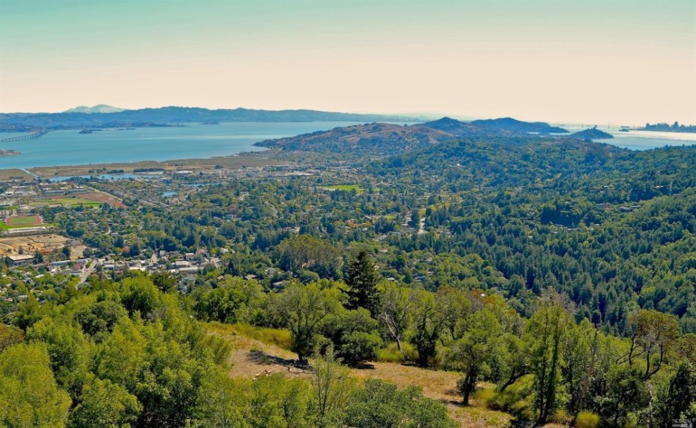 california real estate, forest view, aerial view