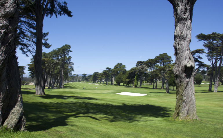 TPC Harding Park, bay area golfing, golf courses