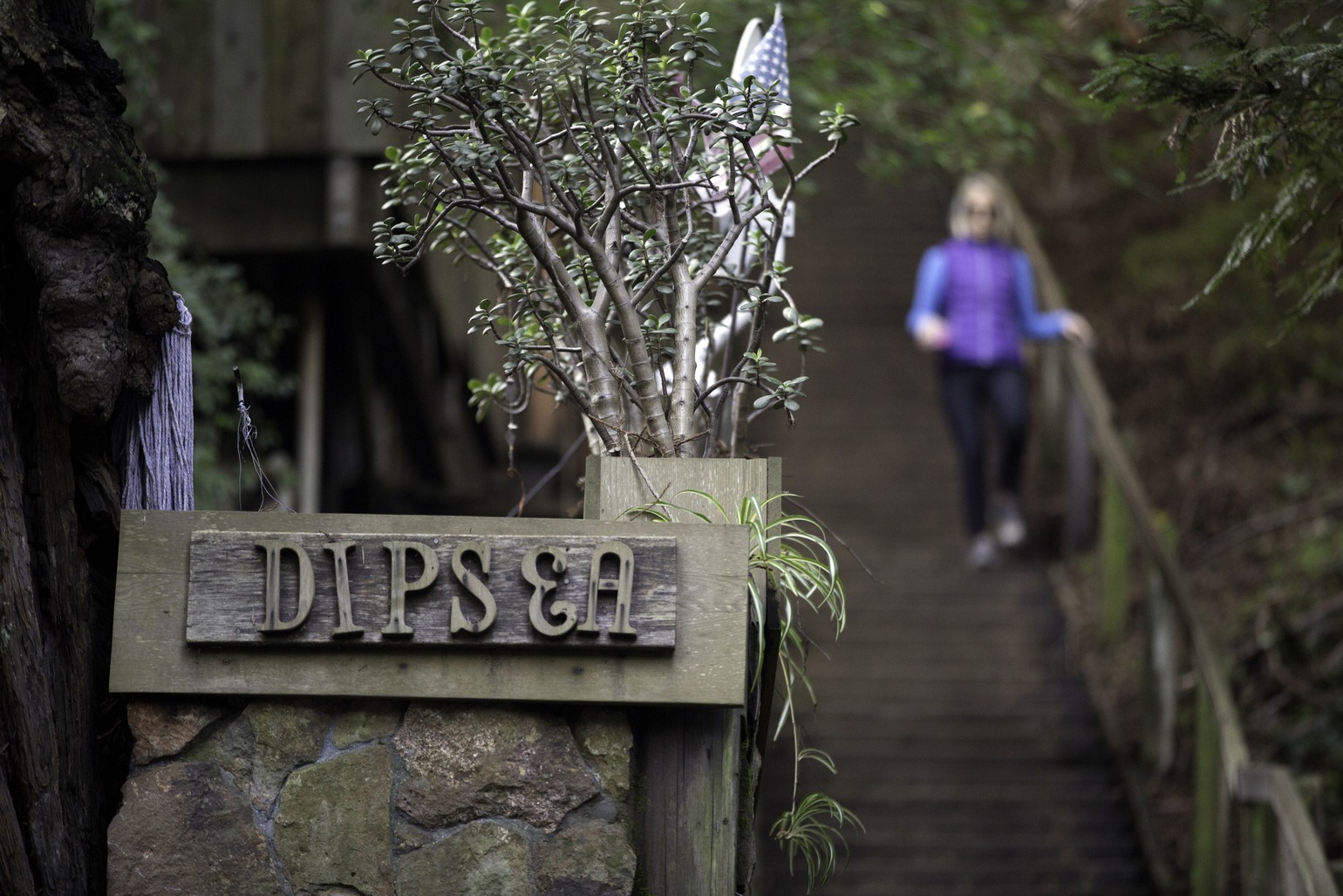 The Dipsea trail california