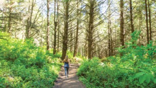From Verna Dunshee to the Dipsea: The Ultimate Guide to Summer Hikes in Marin