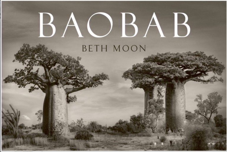 Baobabs by Beth Moon 