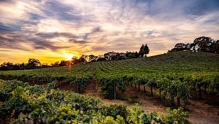 Coombsville: The Secluded, Scenic Napa Wine Destination That You Probably Didn't Know About