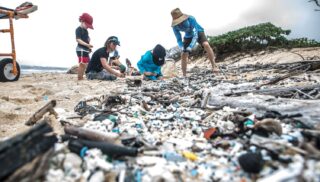 beach cleanup