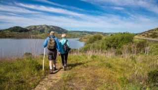 Wildlife Hikes In Marin: Top Trails to Take, Animals to Spot and What You Can Do to Help Protect Them