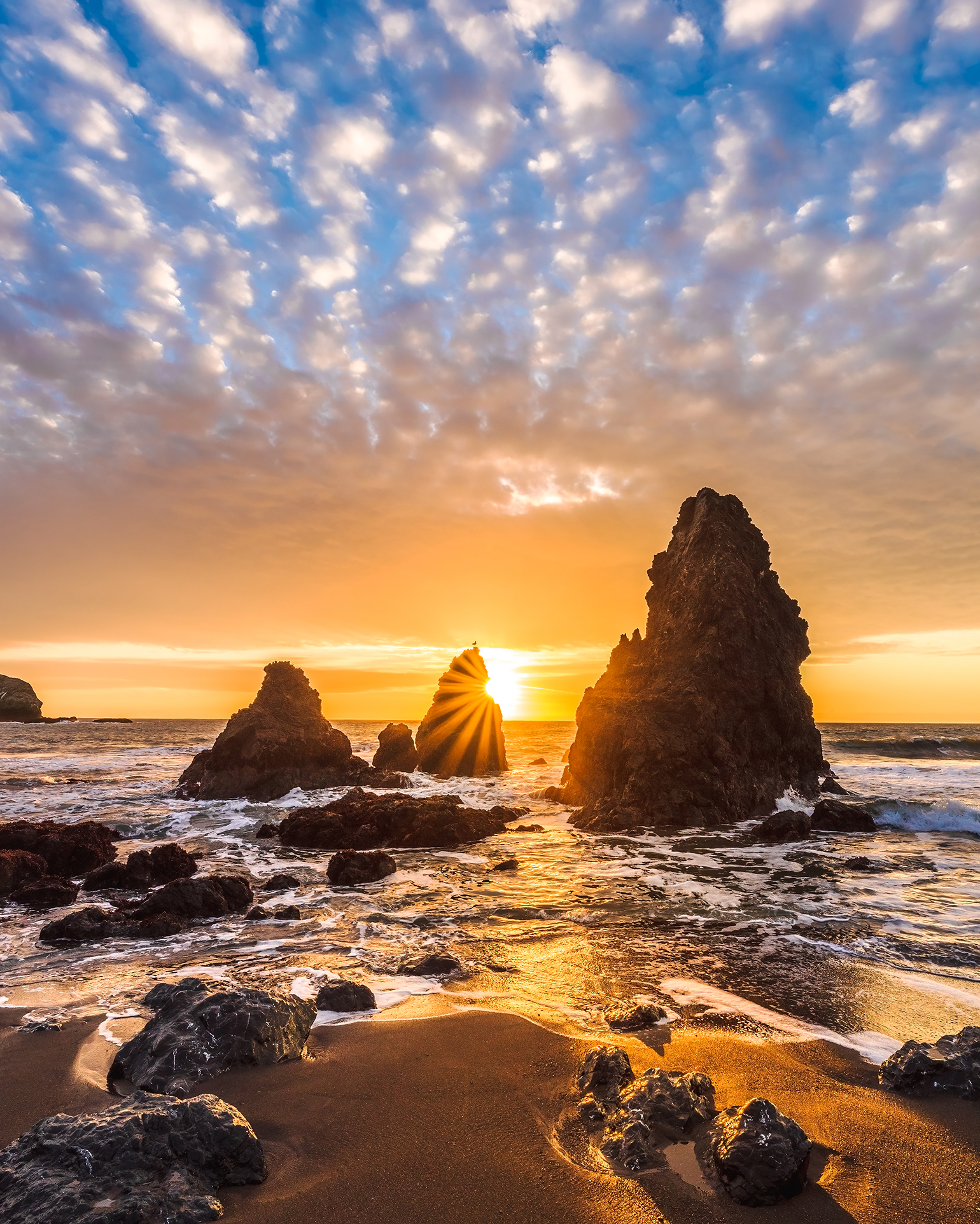 Kristen Sunset Beach M トップス Dan-Kurtzman-FINAL-Sunset-at-