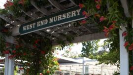 West End Nursery Marin