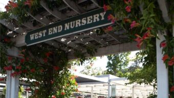 West End Nursery Marin