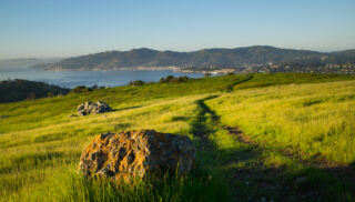 Ring Mountain view tiburon