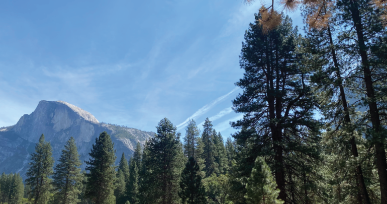 Travel_Yosemite_Facelift