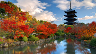 3 Top Places in Japan to See the Autumn Leaves