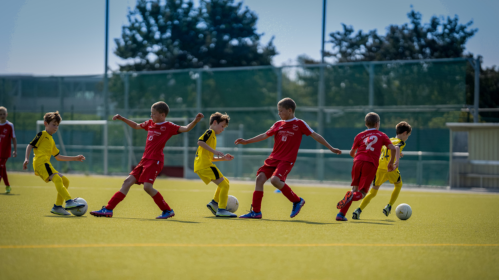 Summer Camps for Sports - Marin Magazine