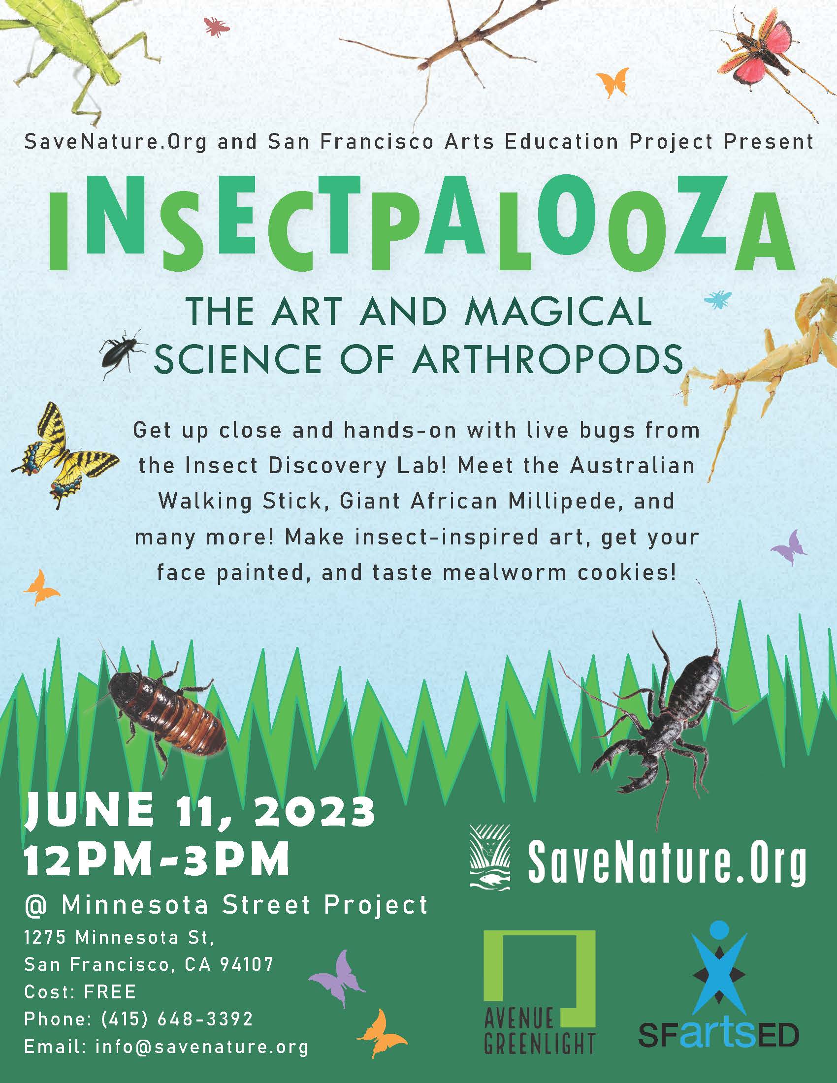 InsectPalooza, San Francisco Arts Education Project, Save Nature