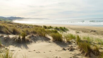 Limantour Beach, Top Beaches Marin, Summer