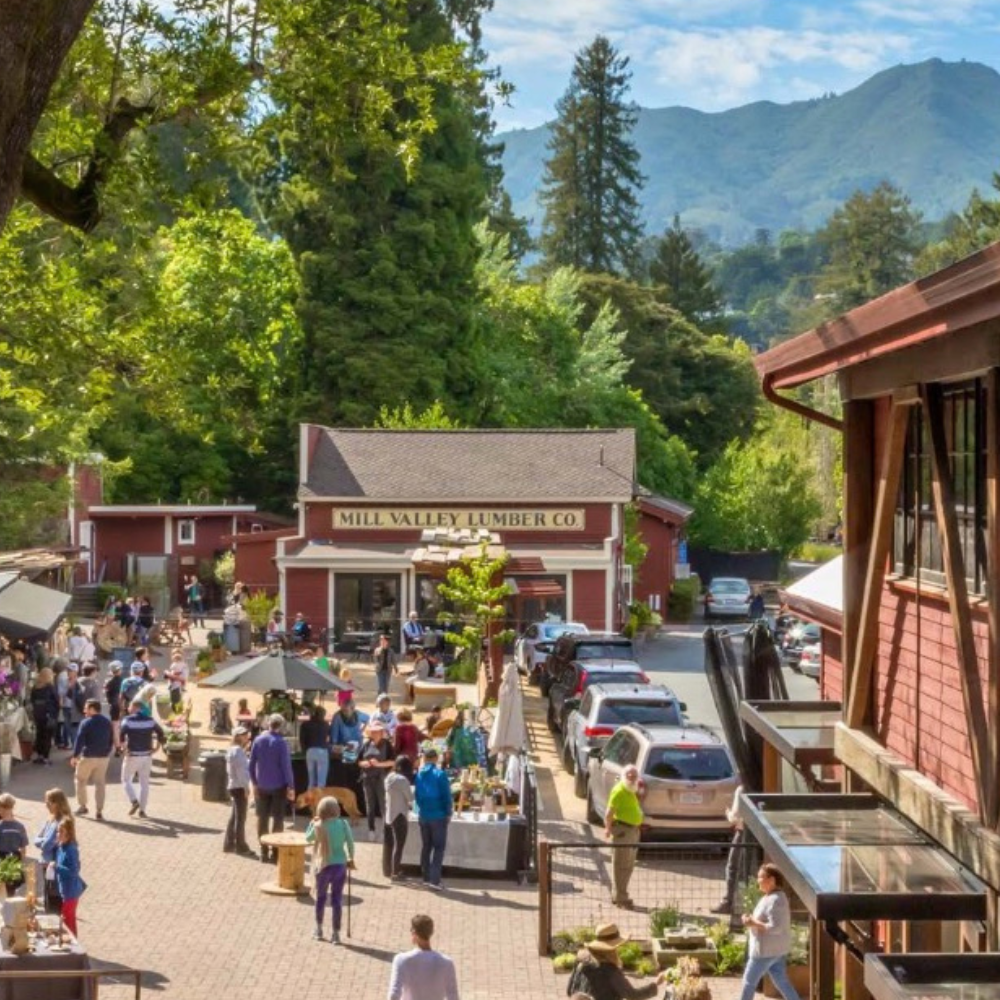 Mill Valley Lumber Yard