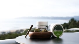 Nice Guys Delivery, Best Cannabis Dispensary and Delivery