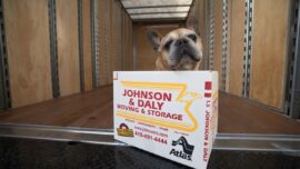 Johnson & Daly Movers
