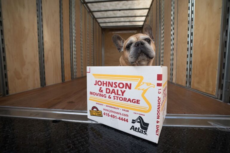 Johnson & Daly Movers