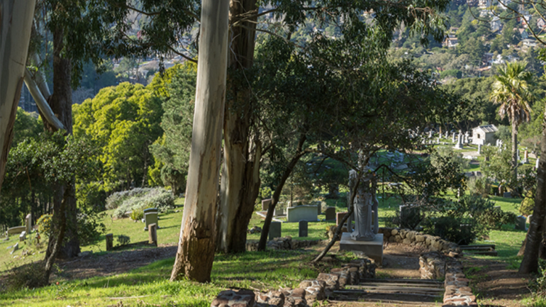 Fernwood Cemetery Mill Valley, Best Funeral Home in Marin