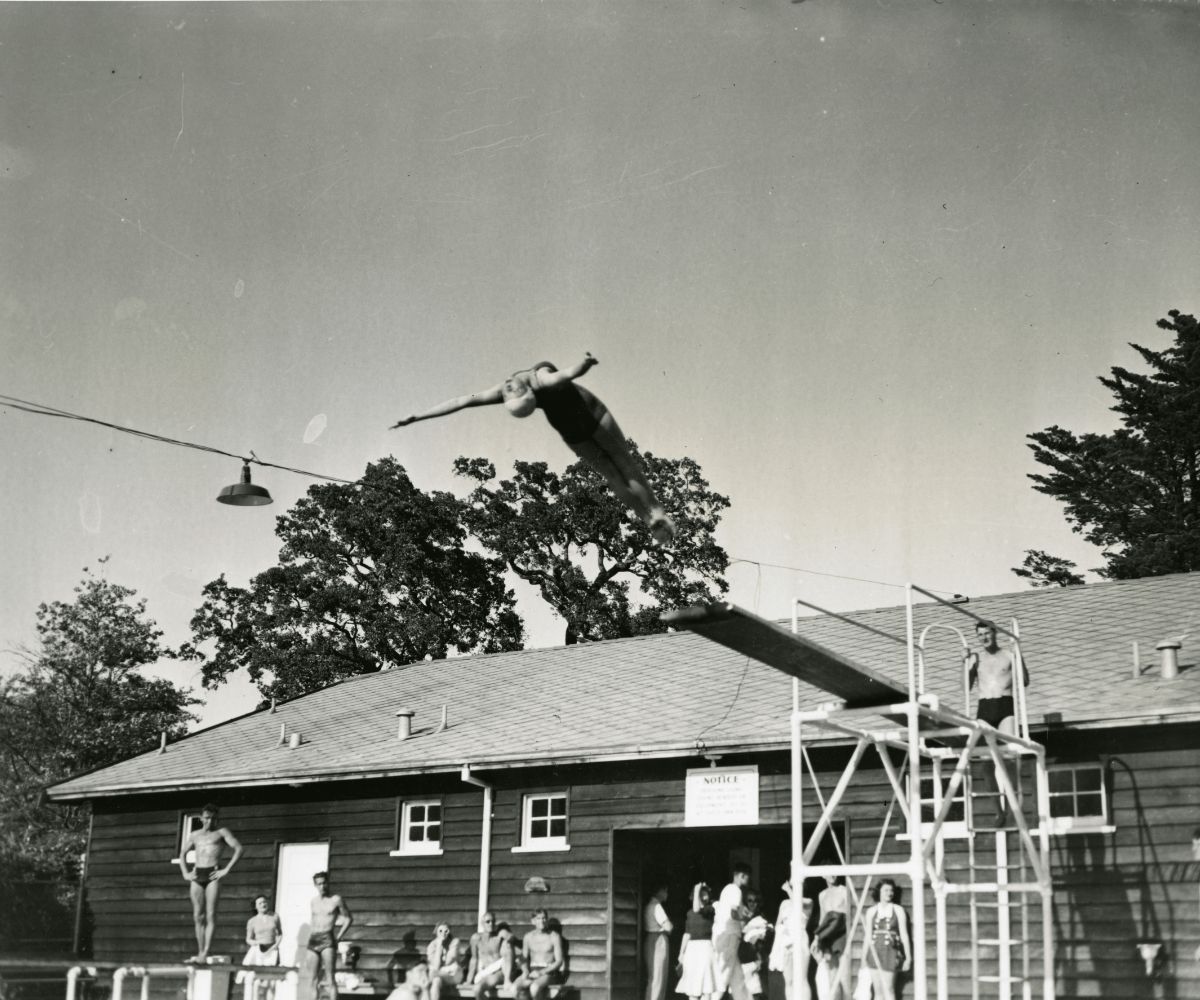 Flying High in Fairfax