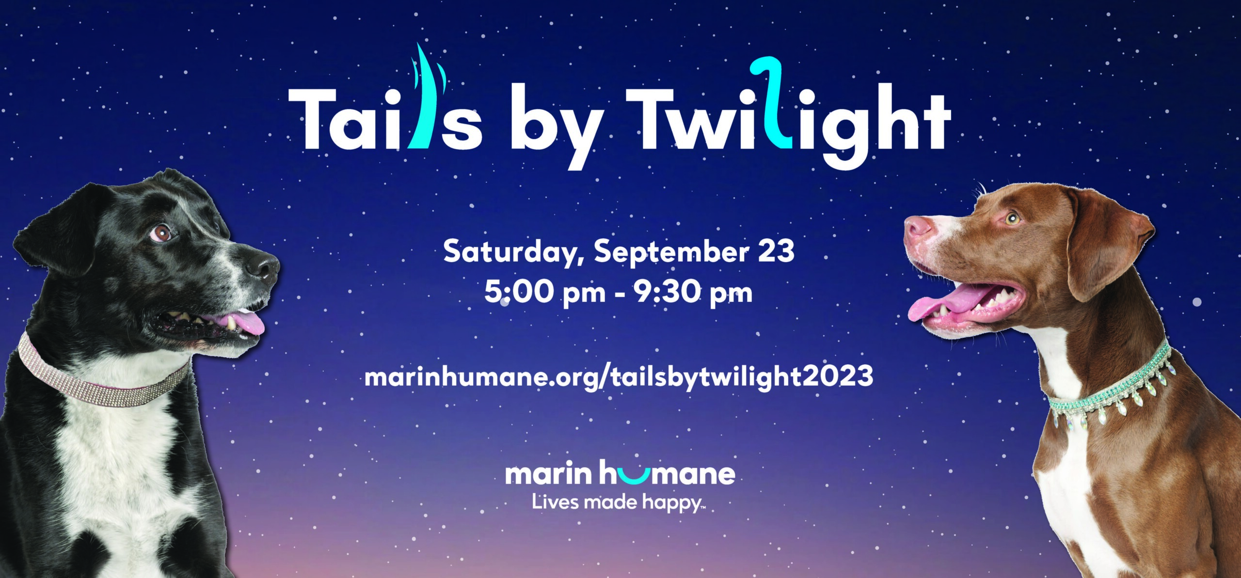Tails by Twilight at Marin Humane Society