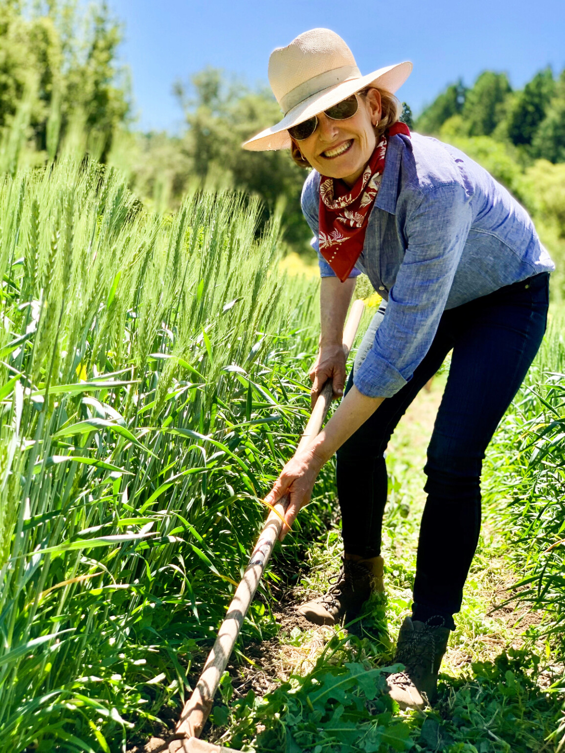 Ancient Grains, Hourani grown at Honore Farm and Mill, Pictured: Elizabeth DeRuff