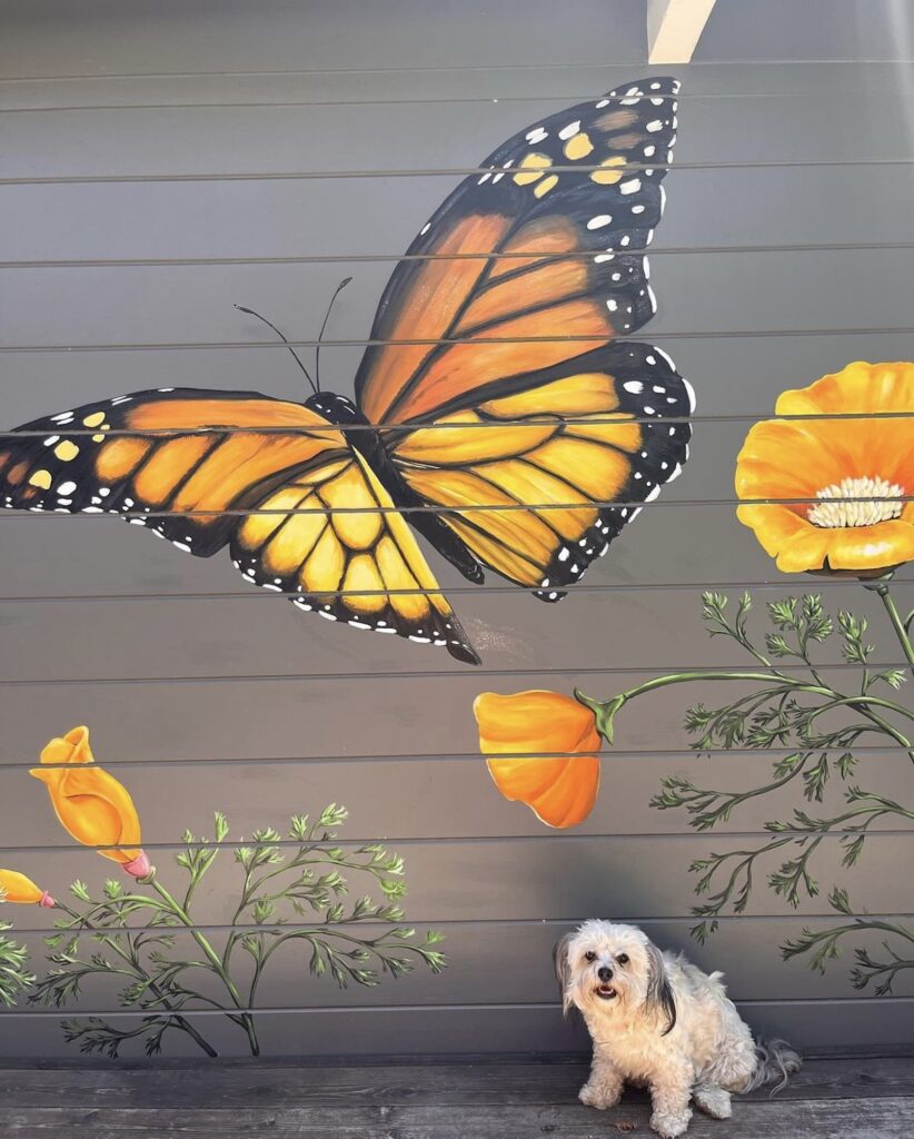 A gray wall with a mural of a monarch and some California poppies.