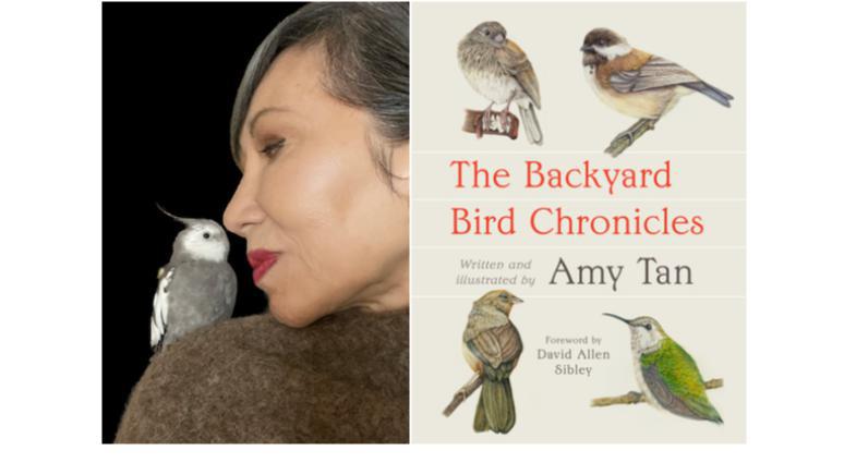 Amy Tan Backyard Bird Chronicles