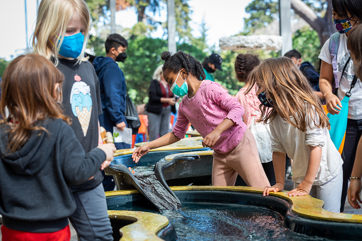 Kids release DIY boats down a tabletop river at the California Academy of Sciences' Riveropolis for April's Spring in the Garden exhibit. 