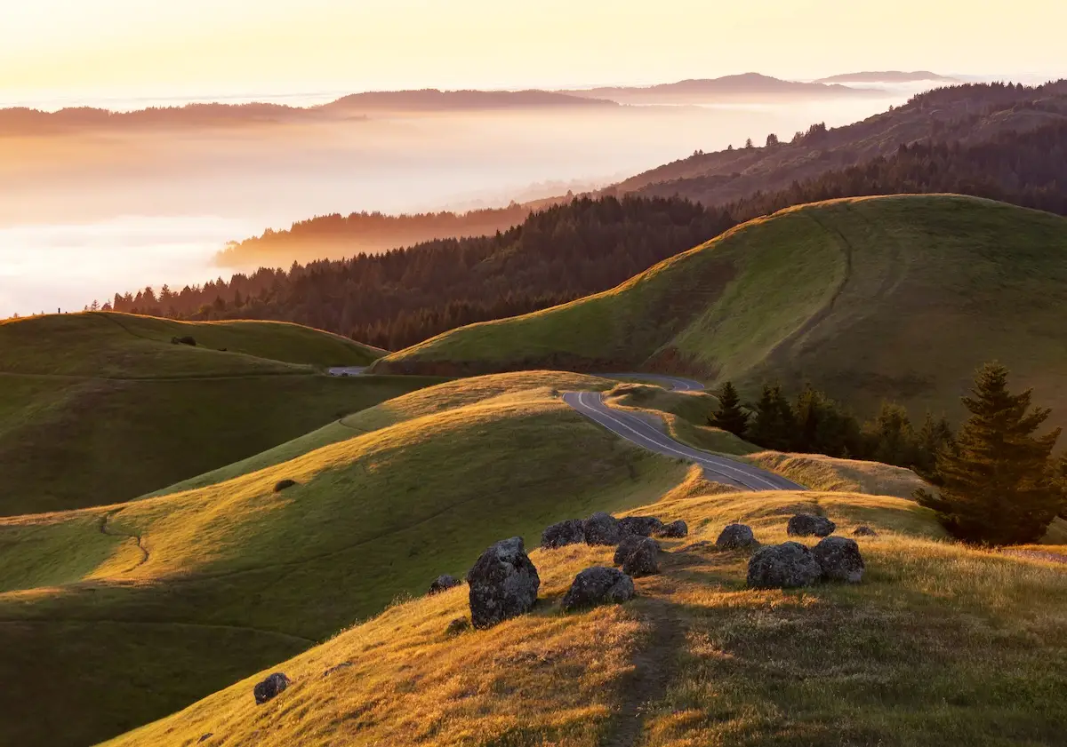Green rolling hills from Bolinas Ridge in Marin nature, photo by Jay Tamang. 