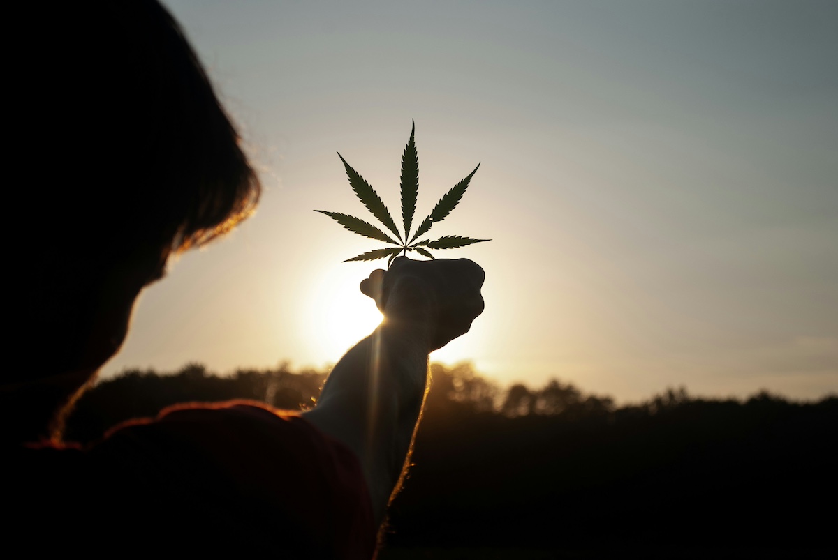 Cannabis Leaf