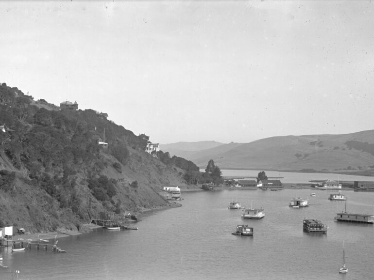 Belvedere Cove