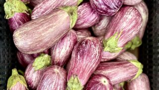 Farmers Market Finds: Recipes That Showcase Marin's Bounty