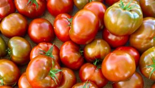 Farmers Market Finds: Recipes That Showcase Marin's Bounty