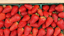Strawberries