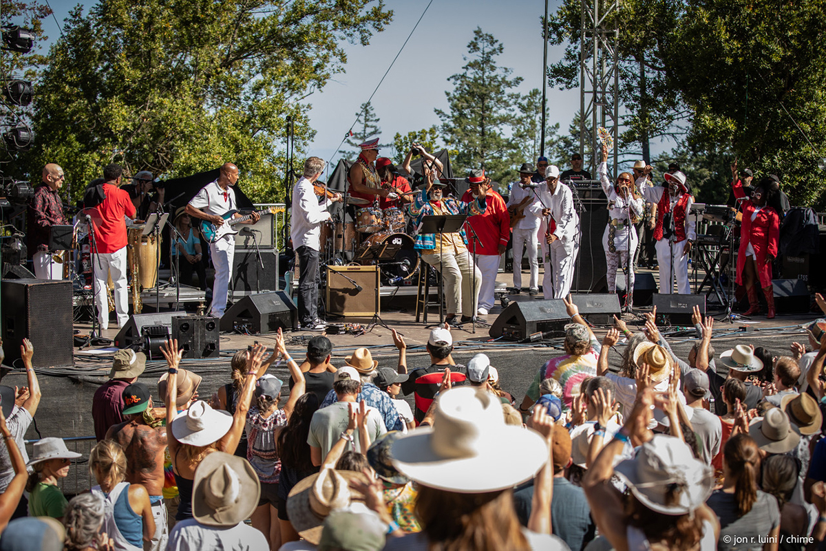 A vibrant ensemble of musicians on stage, each with their instruments, contributing to an energetic musical event.