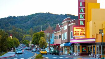 Downtown Larkspur