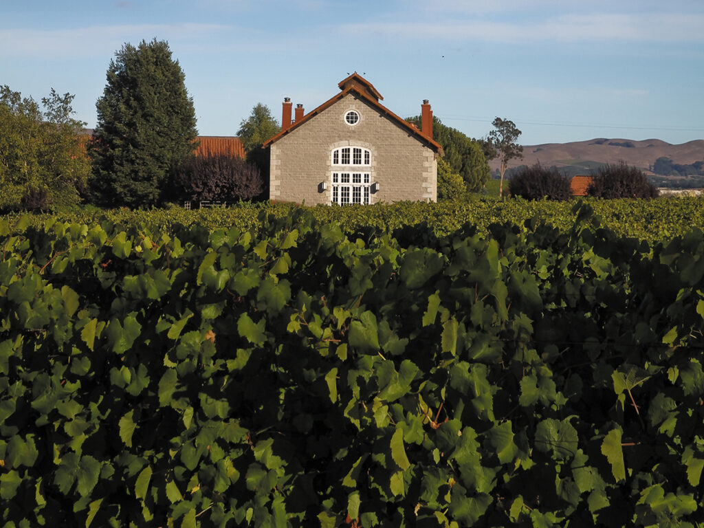 Discover Etude Winery: Napa Valley’s Pinot Noir Destination